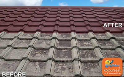 roof coatings Sussex